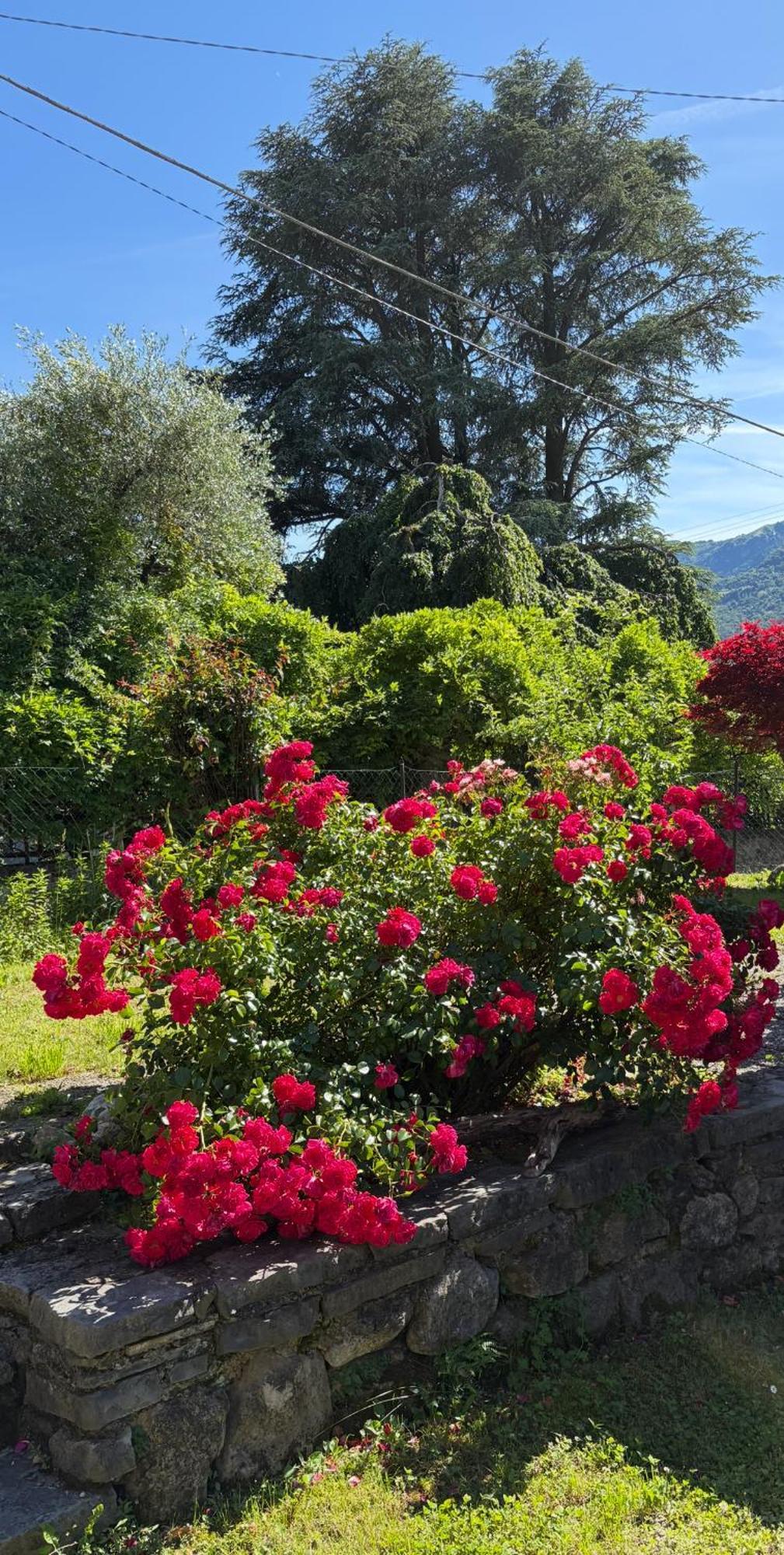 Appartamento Casa Ilde Lierna Esterno foto